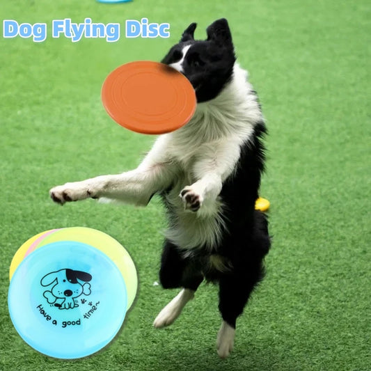 Dog Frisbee Toy – Eco-Friendly Training Disc for Outdoor Play